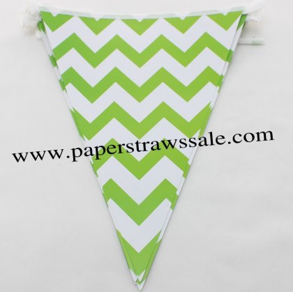 Green Chevron Party Paper Bunting Flags 20 Strings