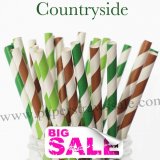 300pcs Countryside Theme Paper Straws Mixed
