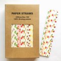 100 Pcs/Box Fruit Mixed Green Red Yellow Paper Straws