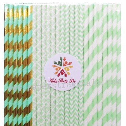 200pcs Mint Striped Chevron Damask Paper Straws Mixed
