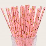 Bubble Assorted Dot Paper Straws Light Pink Gold Foil 500 pcs