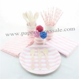 193 pieces/lot Party Dinnerware Set Pink Stripe