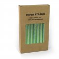 100 pcs/Box Foil Green Iridescent Paper Drinking Straws