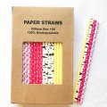 100 Pcs/Box Mixed Girls Slumber Party Paper Straws