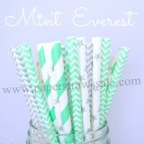 200pcs Mint Everest Paper Straws Mixed