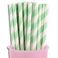 Mint Green Striped Paper Straws Clearance