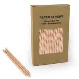 100 pcs/Box Gold Foil Light Pink Striped Paper Straws