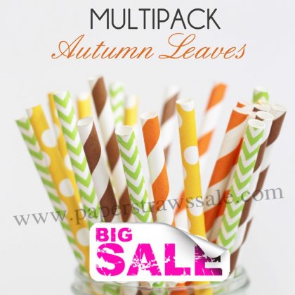 300pcs AUTUMN LEAVES Themed Paper Straws Mixed