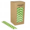 250 pcs/Box Green Bamboo Drinking Paper Straws