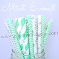200pcs Mint Everest Paper Straws Mixed