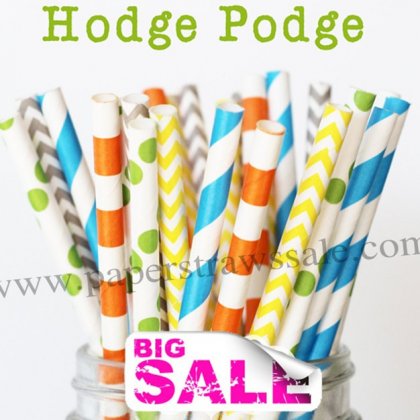 250pcs HODGE PODGE Themed Paper Straws Mixed