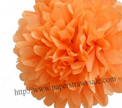 8" and 14" Orange Paper Pom Pom Tissue 20pcs