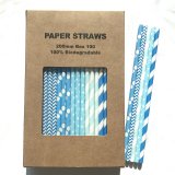 100 Pcs/Box Mixed Little Boy Blue Paper Straws