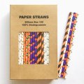 100 Pcs/Box Mixed Party Halloween Hocus Pocus Paper Straws