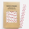 100 Pcs/Box Fruit Green Red Watermelon Paper Straws