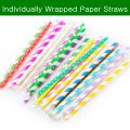 Individually Wrapped Paper Drinking Straws 1000pcs