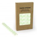 100 pcs/Box Mint Green Stripe Paper Drinking Straws