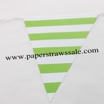 Green Striped Party Paper Bunting Flags 20 Strings