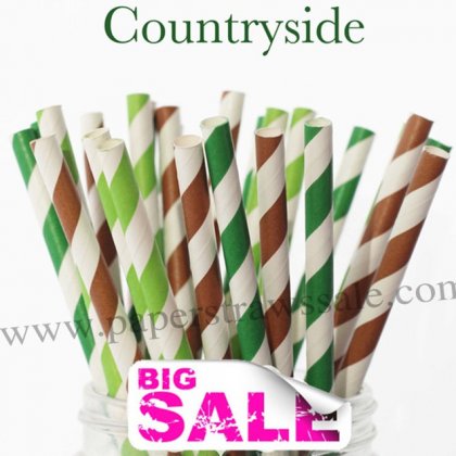300pcs Countryside Theme Paper Straws Mixed