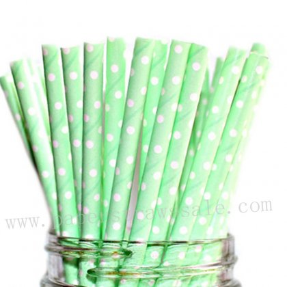 Mint Swiss Dot Drinking Paper Straws 500pcs