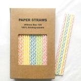 100 Pcs/Box Mixed Colorful Delightful Damasks Paper Straws