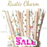 300pcs RUSTIC CHARM Party Paper Straws Mixed