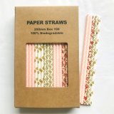 100 Pcs/Box Mixed Pink Gold Tea Party Paper Straws