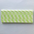 Light Pastel Green Striped Paper Straws Clearance