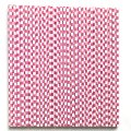 Deep Pink Check Plaid Paper Straws 500 Pcs