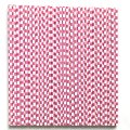 Deep Pink Check Plaid Paper Straws 500 Pcs