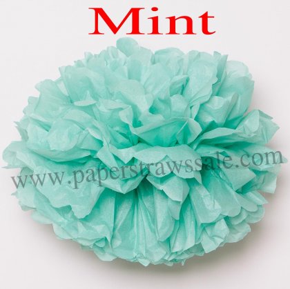 Mint Craft Tissue Paper Pom Poms 20pcs [paperflower025]