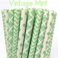 100 Pcs/Box Mixed Vintage Mint Green Paper Straws