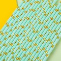 Gold Foil Polka Dot Mint Paper Straws 500 pcs