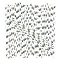 Dog Puppy Cat Pet Black Paw Paper Straws 500 Pcs