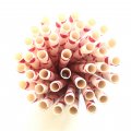 Sweet Dark Red Heart Valentine Paper Straws 500 pcs