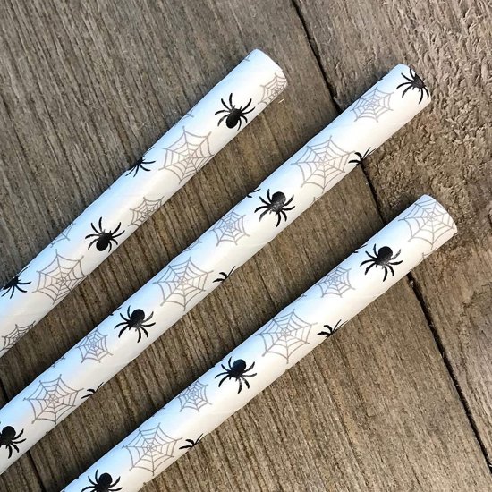 Halloween Black Cobweb Spider Web Paper Straws 500 pcs - Click Image to Close