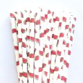 100 Pcs/Box Fruit Green Red Watermelon Paper Straws