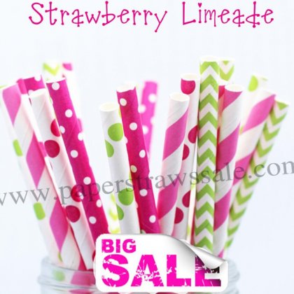 250pcs STRAWBERRY LIMEADE Paper Straws Mixed [themedstraws125]