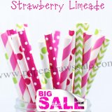 250pcs STRAWBERRY LIMEADE Paper Straws Mixed