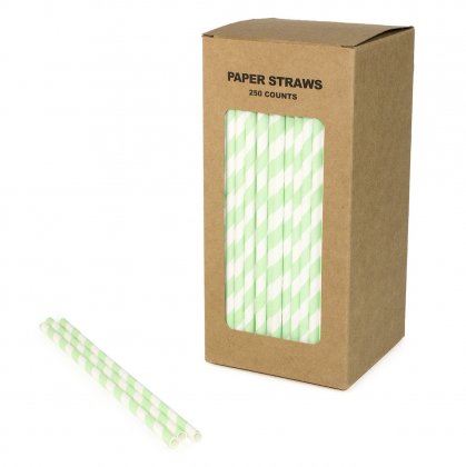 250 pcs/Box Mint Green Striped Paper Straws [mintstripestraws250]