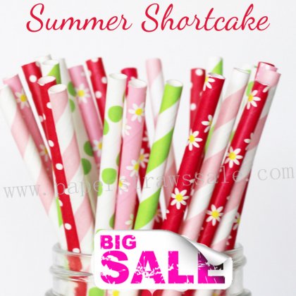 300pcs SUMMER SHORTCAKE Themed Paper Straws Mixed [themedstraws221]