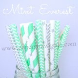 200pcs Mint Everest Paper Straws Mixed