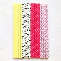 100 Pcs/Box Mixed Girls Slumber Party Paper Straws