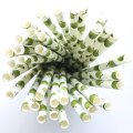 100 Pcs/Box Fruit Summer Party Green Coconut Paper Straws