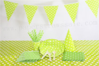 Green Polka Dot Partyware Set for 20 People [tablewareset028]