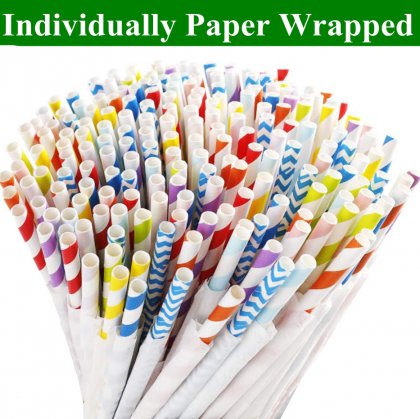 6000 pcs Individually Paper Wrapped Paper Straws [ippaperstraws002]