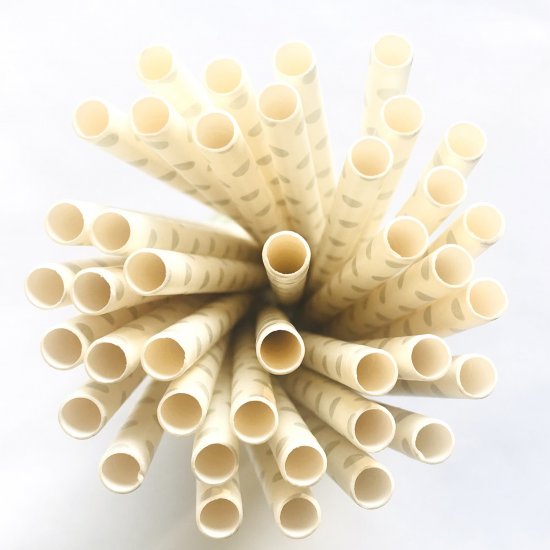 White With Silver Swiss Dot Paper Straws 500 Pcs - Click Image to Close