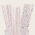 Assorted Star Paper Straws Rose Gold Foil 500 pcs