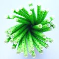 Lime Green With Deep Green Swiss Dot Paper Straws 500 Pcs