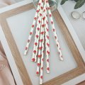 Fruit Green Red Apple Paper Straws 500 pcs